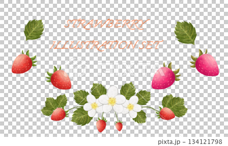 いちごの素材イラストセット 134121798