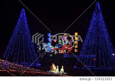 芝生広場にはクリスマスデコレーション 尾島庁舎前の町民の森公園イルミネーション2025(12.7) 134121921