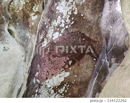 This is paintings on the wall by pre history on karst mountains 134122262