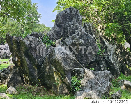 his is national park name leang-leang at Maros  134122305