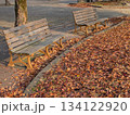 公園のベンチ 134122920