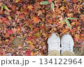 一面の紅葉、落ち葉の絨毯の上に立つ 134122964