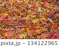 紅葉の落ち葉の絨毯 134122965