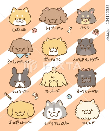 わんこ大集合 わんこ大集合 134123582