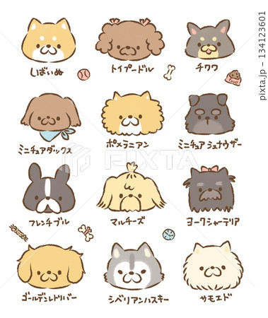 わんこ大集合 背景なし わんこ大集合 背景なし 134123601