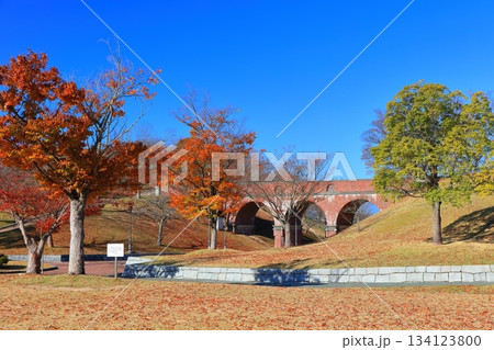 【愛媛県】快晴の藤山健康文化公園 【愛媛県】快晴の藤山健康文化公園 134123800