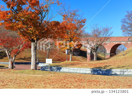 【愛媛県】快晴の藤山健康文化公園 【愛媛県】快晴の藤山健康文化公園 134123801