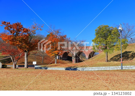 【愛媛県】快晴の藤山健康文化公園 【愛媛県】快晴の藤山健康文化公園 134123802