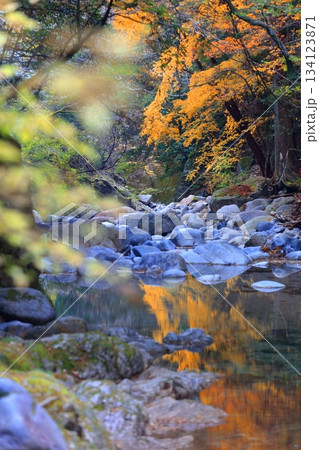【愛媛県】鈍川渓谷の紅葉 【愛媛県】鈍川渓谷の紅葉 134123871