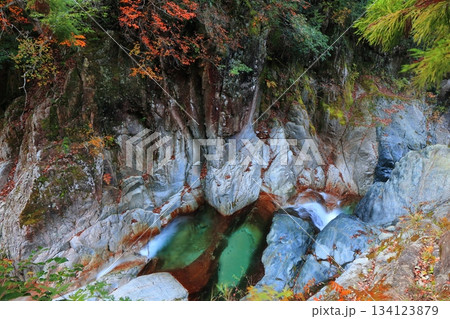 【愛媛県】鈍川渓谷の紅葉 134123879
