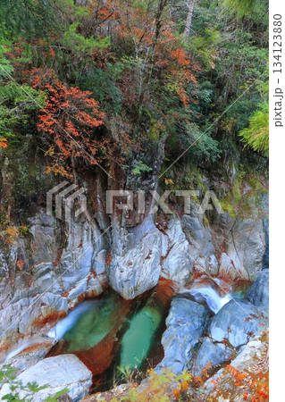 【愛媛県】鈍川渓谷の紅葉 134123880