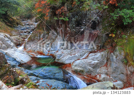 【愛媛県】鈍川渓谷の紅葉 134123883