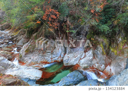 【愛媛県】鈍川渓谷の紅葉 【愛媛県】鈍川渓谷の紅葉 134123884