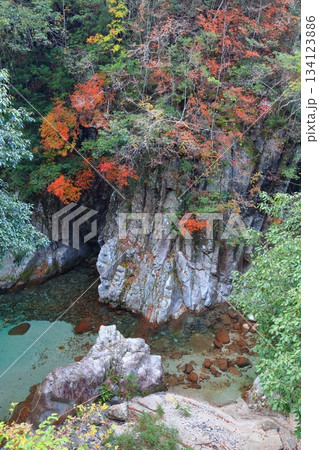 【愛媛県】鈍川渓谷の紅葉 【愛媛県】鈍川渓谷の紅葉 134123886
