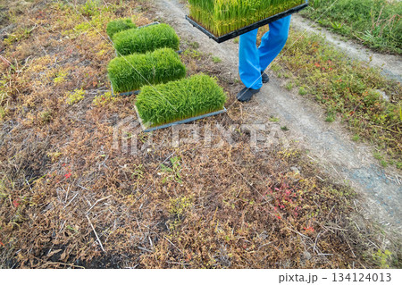 Agriculture Agriculture 134124013