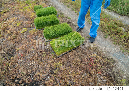 Agriculture 134124014