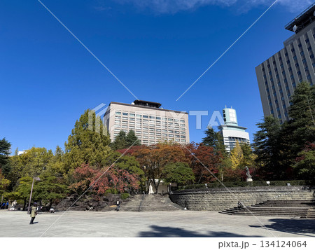 青空と秋の仙台市勾当台公園から見上げる宮城県庁 134124064