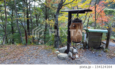 寸又峡渓谷の風景 134124164