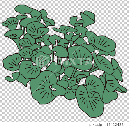 20251209syokusai24 134124284