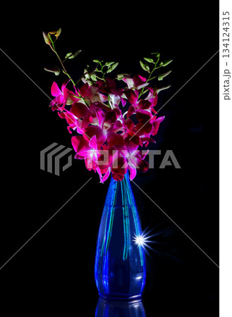 青い一輪挿しのデンファレ 134124315