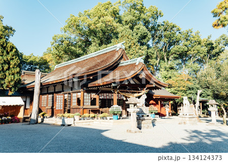 愛知県　知立神社 134124373