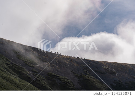 山を一列で登る登山者 134125071