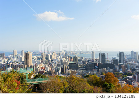 ビーナスブリッジから見る神戸の街並み 134125189