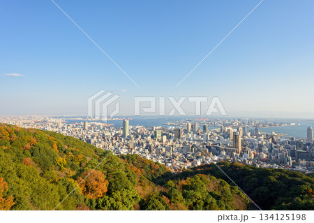 錨山から見る神戸の街並み 134125198
