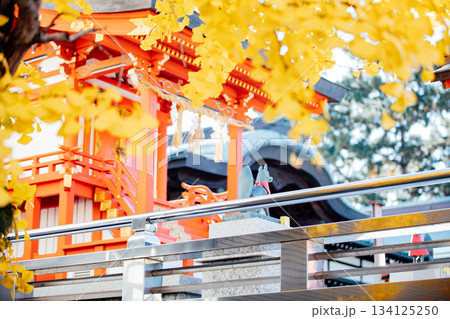 静岡県浜松市　五社神社・諏訪神社 134125250