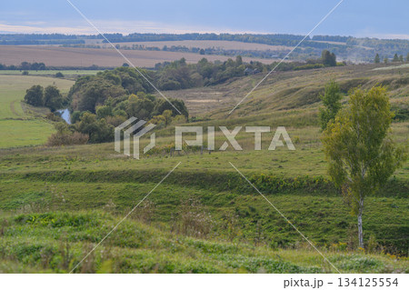 A Serene Landscape showcasing Rolling Hills accompanied by a Gentle Stream flowing peacefully 134125554