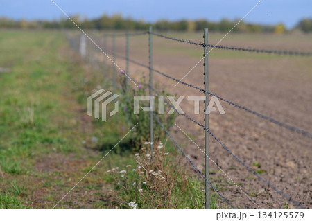 A Barbed Wire Fence is Positioned Alongside an Agricultural Field in a Beautiful Sunny Landscape 134125579