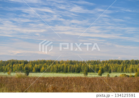 Stunning, Serene Landscape Featuring Colorful Trees Against a Tranquil, Clear Sky 134125591