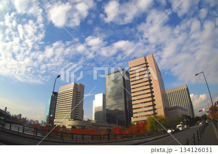 青空とOBPのビル群 134126031
