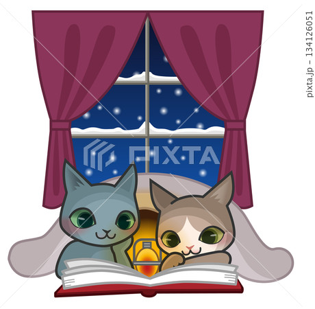 雪の夜に布団に入って本を読んでいる2匹の猫のキャラクター 雪の夜に布団に入って本を読んでいる2匹の猫のキャラクター 134126051