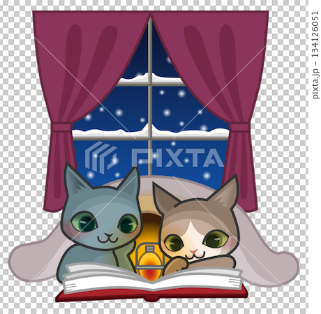 雪の夜に布団に入って本を読んでいる2匹の猫のキャラクター 雪の夜に布団に入って本を読んでいる2匹の猫のキャラクター 134126051