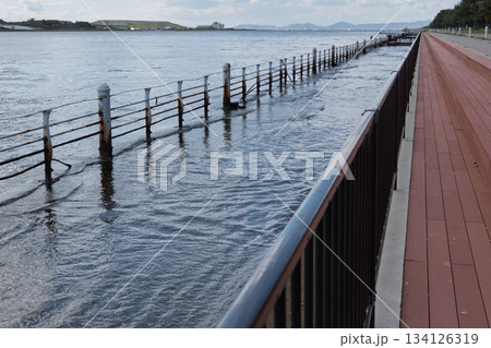 大阪湾沿い遊歩道の海没 - 地盤沈下と海面上昇の記録 134126319