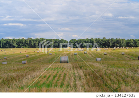 A Serene and Beautiful Landscape Featuring Hay Bales Under a Dramatic, Cloudy Sky A Serene and Beautiful Landscape Featuring Hay Bales Under a Dramatic, Cloudy Sky 134127635