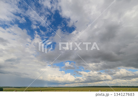 An Expansive and Beautiful Cloudy Sky Spreading Over the Open and Green Fields Dotted with Flora 134127683