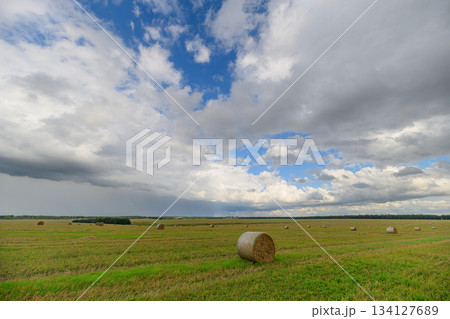 A Vast and Expansive Agricultural Field Set Against a Dramatic and Beautifully Cloudy Sky Above A Vast and Expansive Agricultural Field Set Against a Dramatic and Beautifully Cloudy Sky Above 134127689