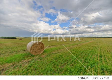 A picturesque and scenic rural landscape featuring hay bales set against a truly dramatic sky A picturesque and scenic rural landscape featuring hay bales set against a truly dramatic sky 134127696