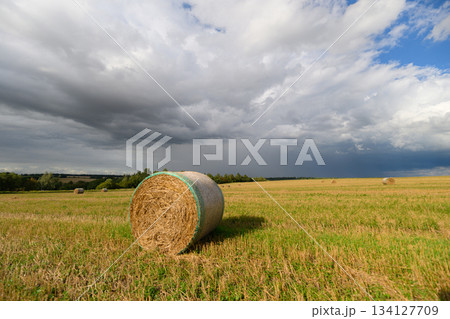 Rolling a large Hay Bale across a Scenic Field while Dramatic Clouds dominate the sky above Rolling a large Hay Bale across a Scenic Field while Dramatic Clouds dominate the sky above 134127709