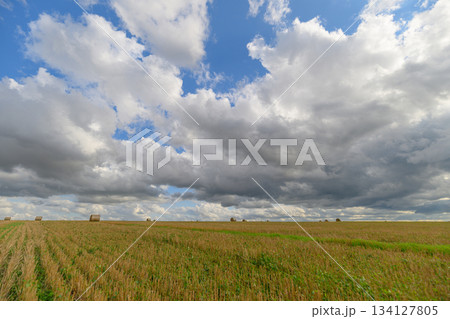 Vast and Expansive Green Fields Stretch Under a Dramatic and Beautiful Cloudy Sky Vast and Expansive Green Fields Stretch Under a Dramatic and Beautiful Cloudy Sky 134127805