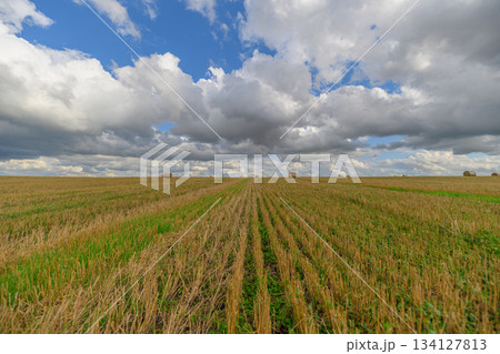 A Serene Landscape Featuring Expansive Fields Under Dramatic Skies That Captivate the Eye A Serene Landscape Featuring Expansive Fields Under Dramatic Skies That Captivate the Eye 134127813