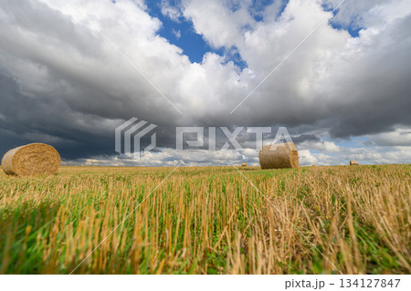 A Beautiful and Scenic Landscape Featuring Hay Bales Set Against a Dramatic Cloudy Sky A Beautiful and Scenic Landscape Featuring Hay Bales Set Against a Dramatic Cloudy Sky 134127847