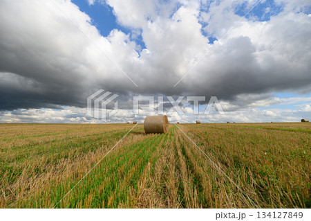 A Vast Expansive Field Situated Under a Dramatic and Beautifully Cloudy Sky Above It A Vast Expansive Field Situated Under a Dramatic and Beautifully Cloudy Sky Above It 134127849