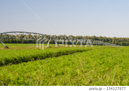 The Advanced Irrigation System Implemented in a Lush and Verdant Agricultural Field Setting 134127877