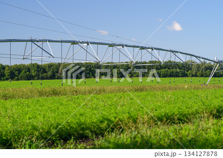Irrigation System Utilized in a Lush Green Agriculture Field for Optimal Crop Growth Irrigation System Utilized in a Lush Green Agriculture Field for Optimal Crop Growth 134127878