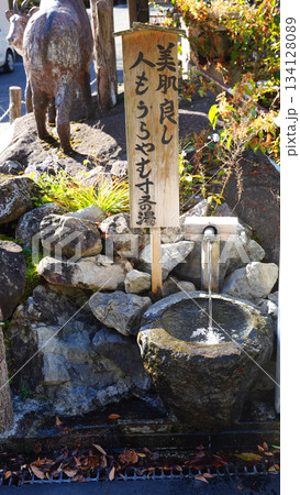 寸又峡温泉　美人の湯 134128089