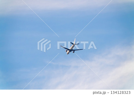 大空を飛ぶ旅客機 134128323