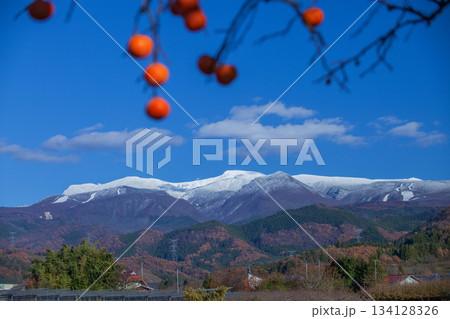 冠雪の蔵王連山と残り柿 冠雪の蔵王連山と残り柿 134128326